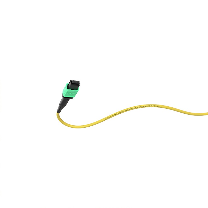 MTP breakout cable MTP breakout cable
