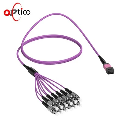 Mpo {- fc 12 fibers hloov cable ntxuam tawm